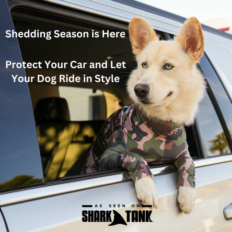 Shed Defender Dog Onesie Contains Shedding Recovery Suit for Dogs
